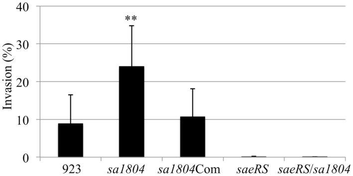 FIGURE 3