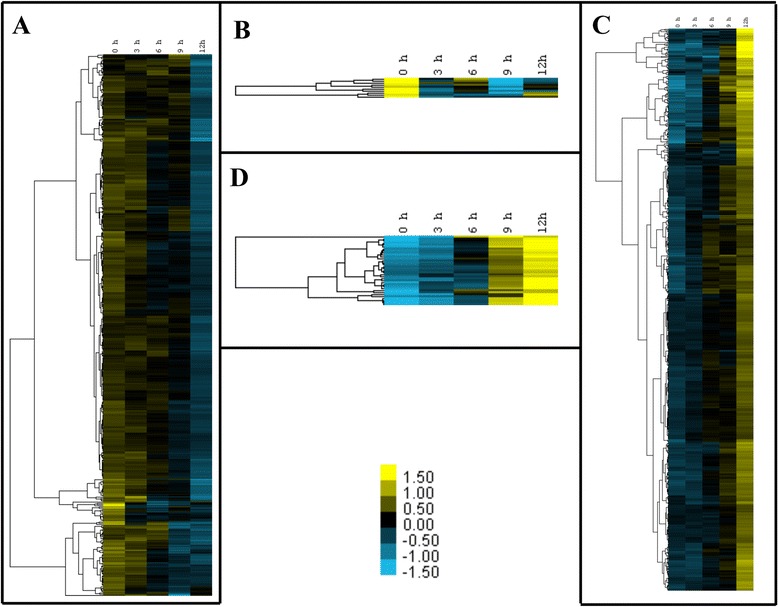 Fig. 2