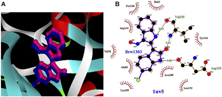 FIGURE 1