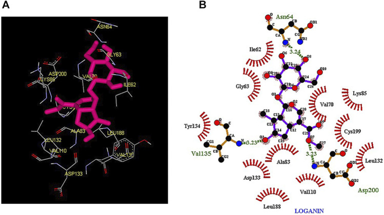 FIGURE 2