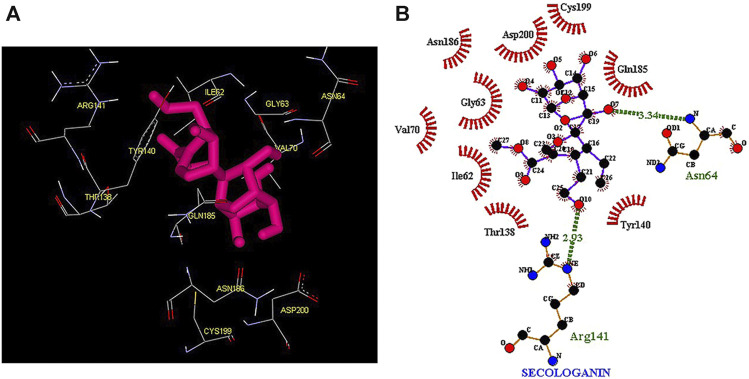 FIGURE 4