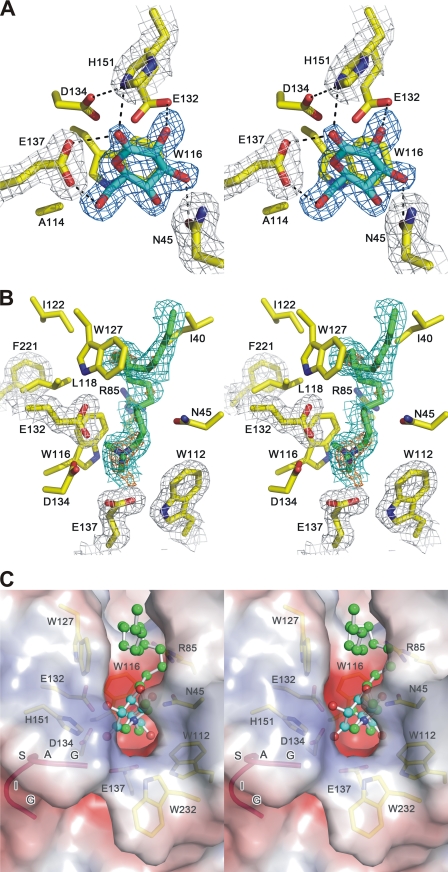 FIGURE 2.