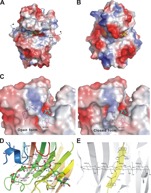 FIGURE 3.