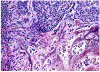 Figure 15.