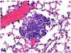 Figure 16.