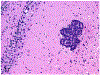 Figure 17.