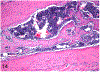 Figure 14.