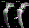 Figure 12.