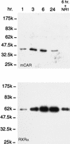 FIG. 5