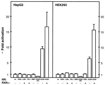 FIG. 7