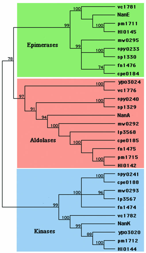 FIG. 5.