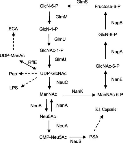 FIG. 8.