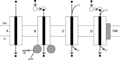 FIG. 4.