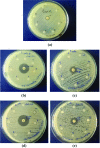 Fig. 7