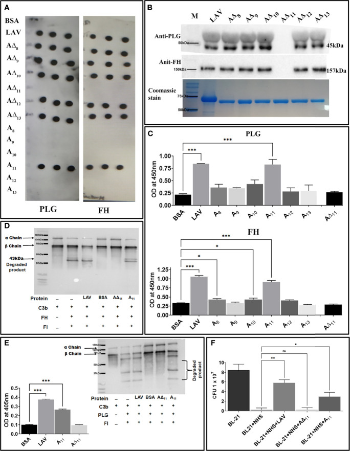 Figure 5