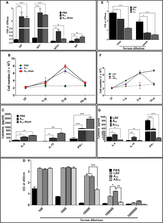 Figure 4