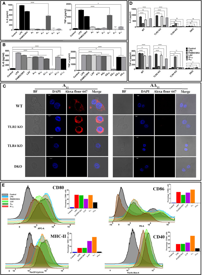 Figure 2