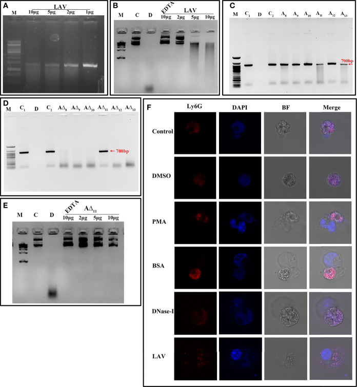 Figure 6