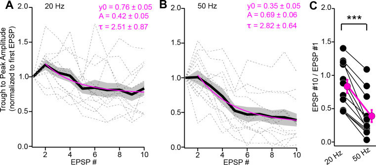 Figure 4—figure supplement 1.