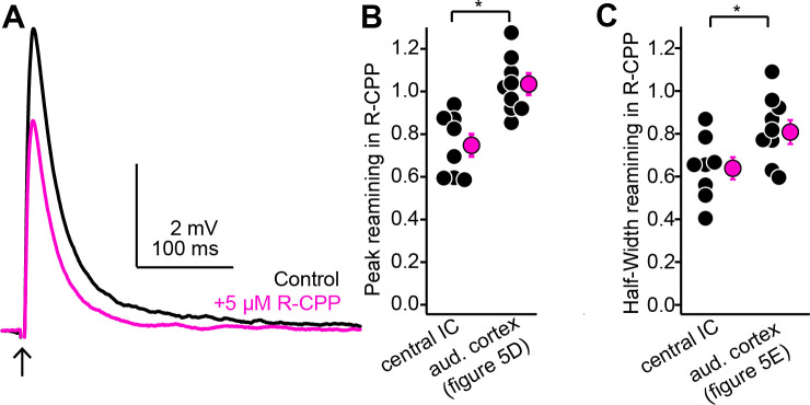 Figure 6—figure supplement 1.