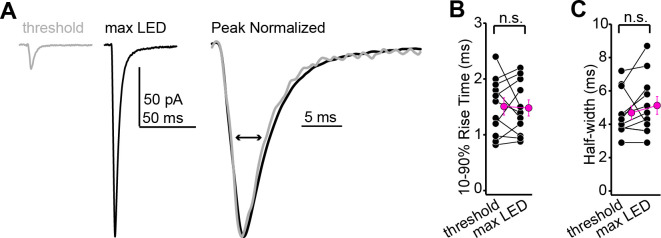 Figure 2—figure supplement 1.