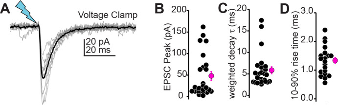 Figure 1—figure supplement 4.