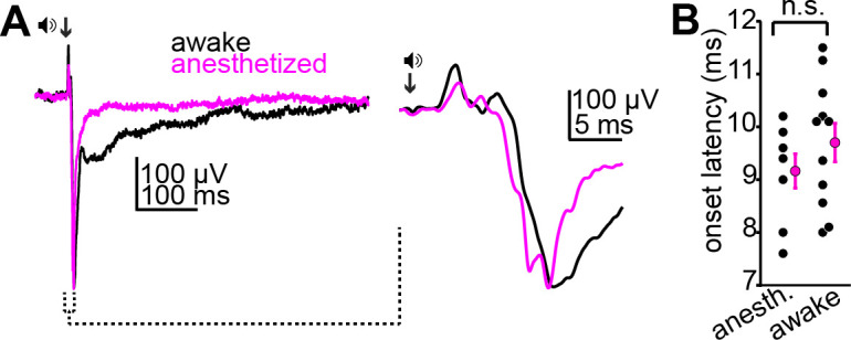 Figure 7—figure supplement 1.