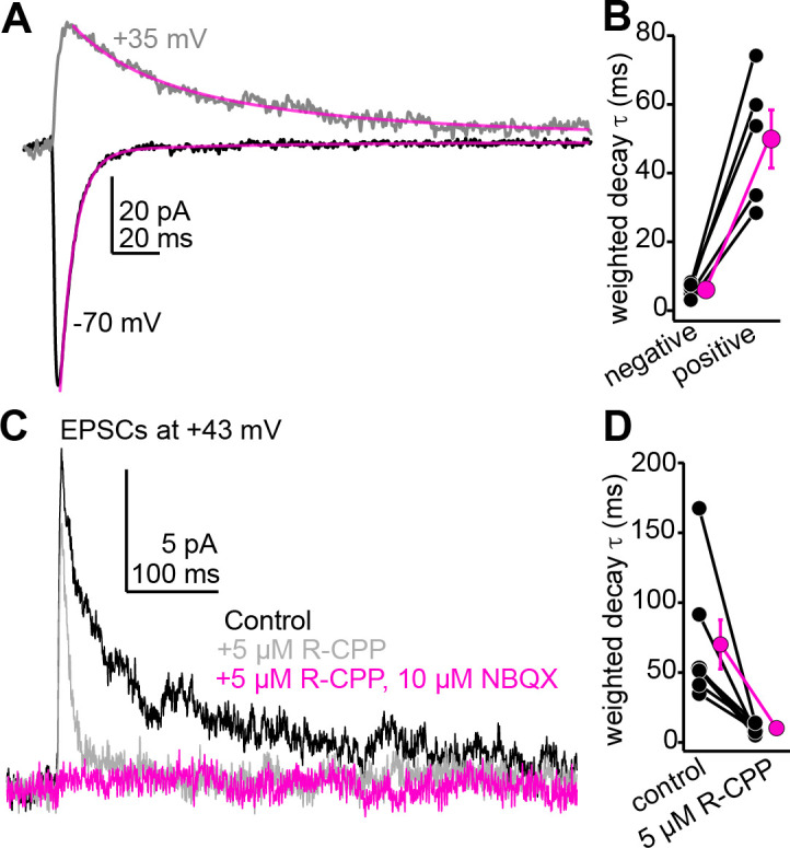 Figure 5—figure supplement 1.