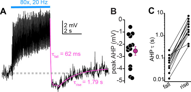 Figure 4—figure supplement 2.