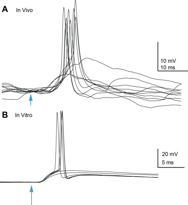 Figure 1—figure supplement 3.