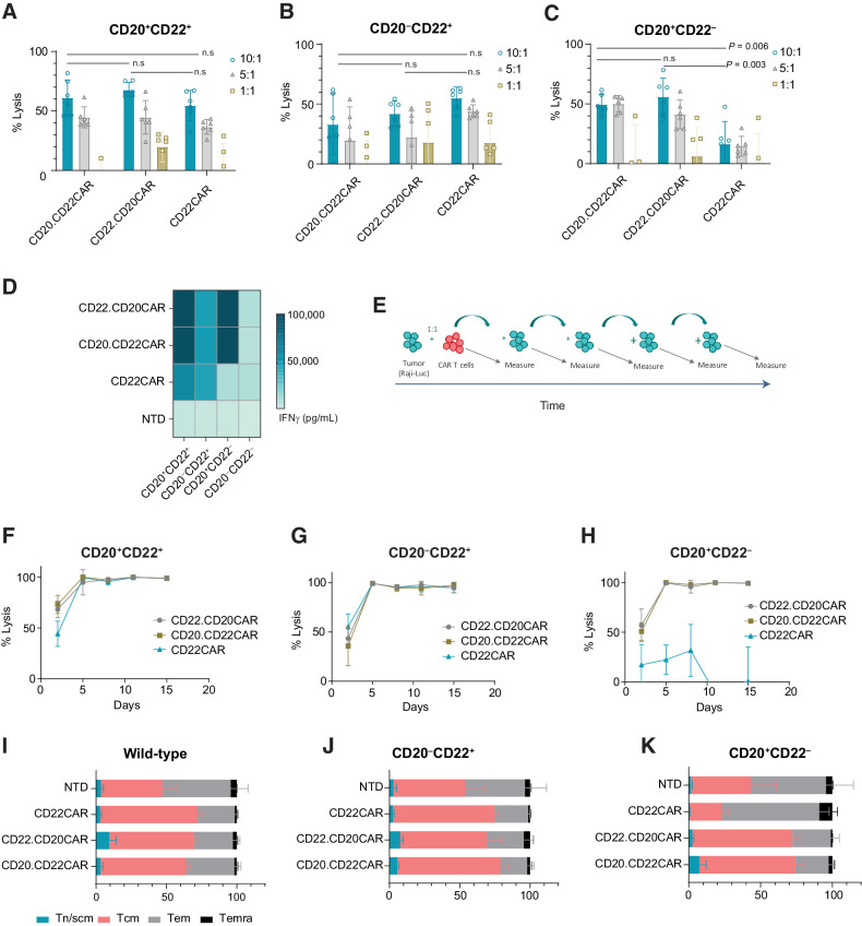 Figure 2. CD20xCD22 CAR T cells display robust activity against tumor cells with different antigen expression. A, Representative cytotoxic activity against Raji (Burkitt lymphoma) cells expressing CD20+CD22+. B and C, Cytotoxic activity against Raji cells expressing CD22+ or CD20+. n = 6. Mean ± SD shown. Unpaired t test was performed. The experiment was repeated three times each with 2 or 3 different donors. D, Heat map showing IFNγ release after overnight incubation at an effector:target ratio of 1:1. The experiment was repeated three times each with 2 or 3 different donors. E, Serial killing assay schematics. F–H, Serial killing assay against CD20+CD22+, CD22+, or CD20+ Raji cells at an effector:target ratio of 5:1. Mean ± SD shown. I–K, Flow cytometry data showing differentiation status of CAR T cells at the end of the serial killing assay. Tn/scm: naïve T cells (CD45RA+CD62L+); Tcm: central memory T cells (CD45RA−CD62L+); Tem: effector memory T cells (CD45RA−CD62L−); Temra: effector memory T cells RA (CD45RA+CD62L−). Mean ± SD shown. n = 3.