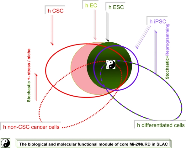 Figure 10.