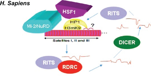 Figure 7.