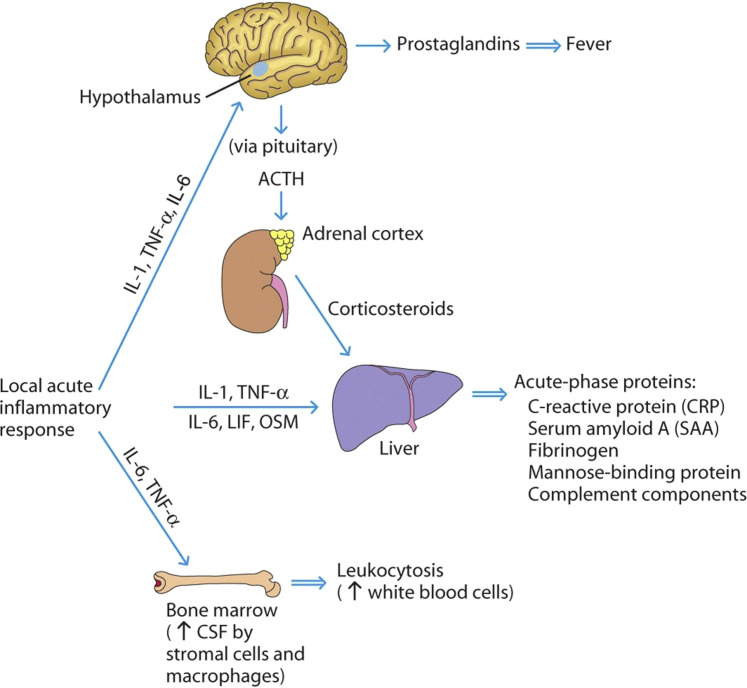 Fig. 2