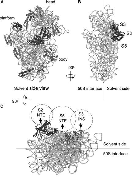 Figure 6.