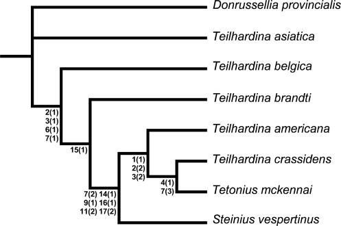 Fig. 5.