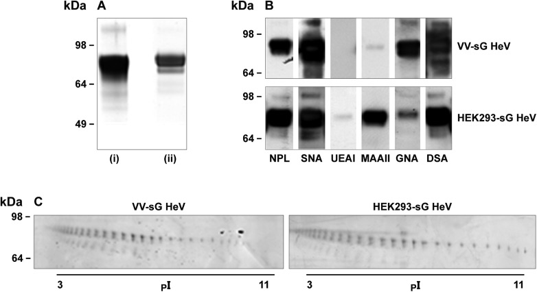 Fig. 1.