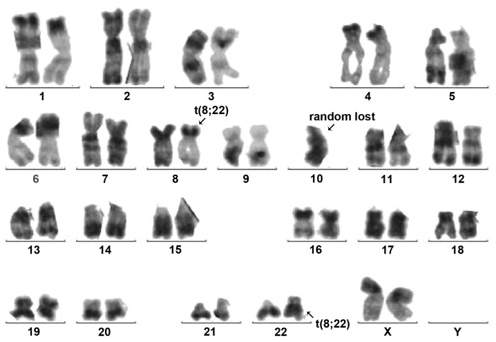 Figure 2.