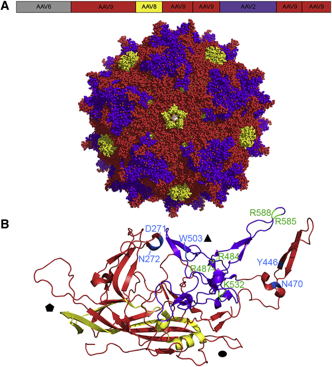 Figure 3