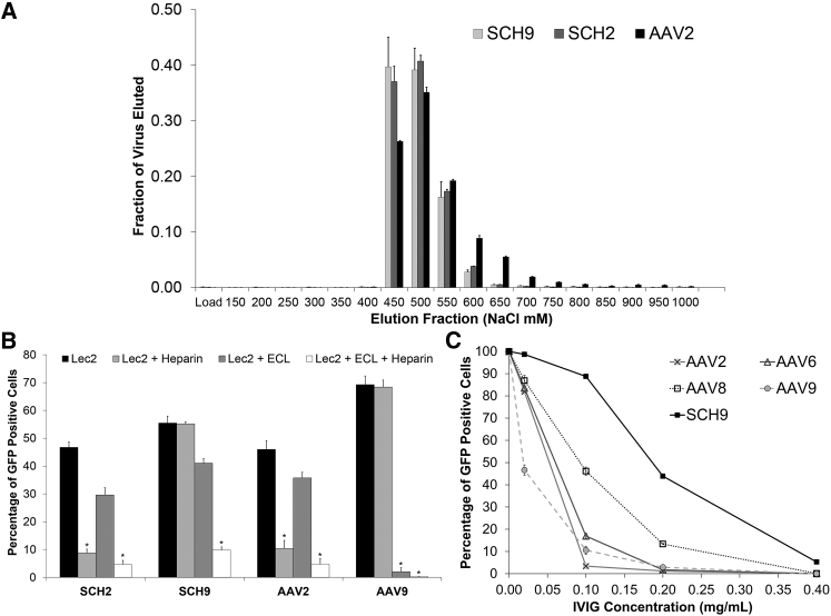 Figure 6