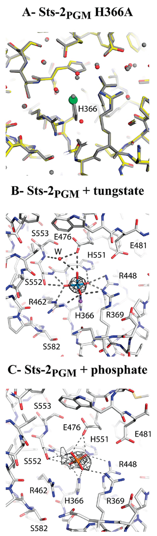 FIGURE 3