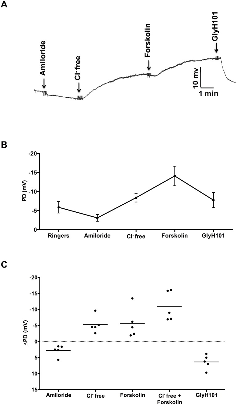 Fig 4