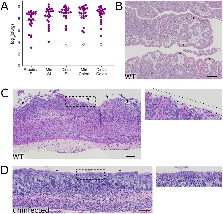 FIG 2