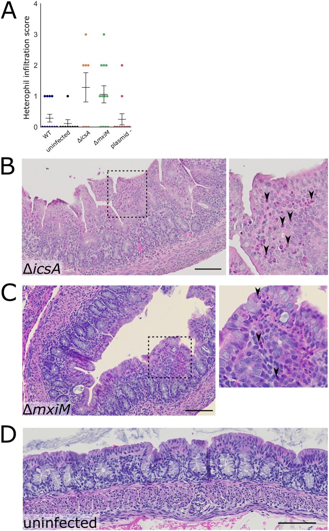 FIG 6