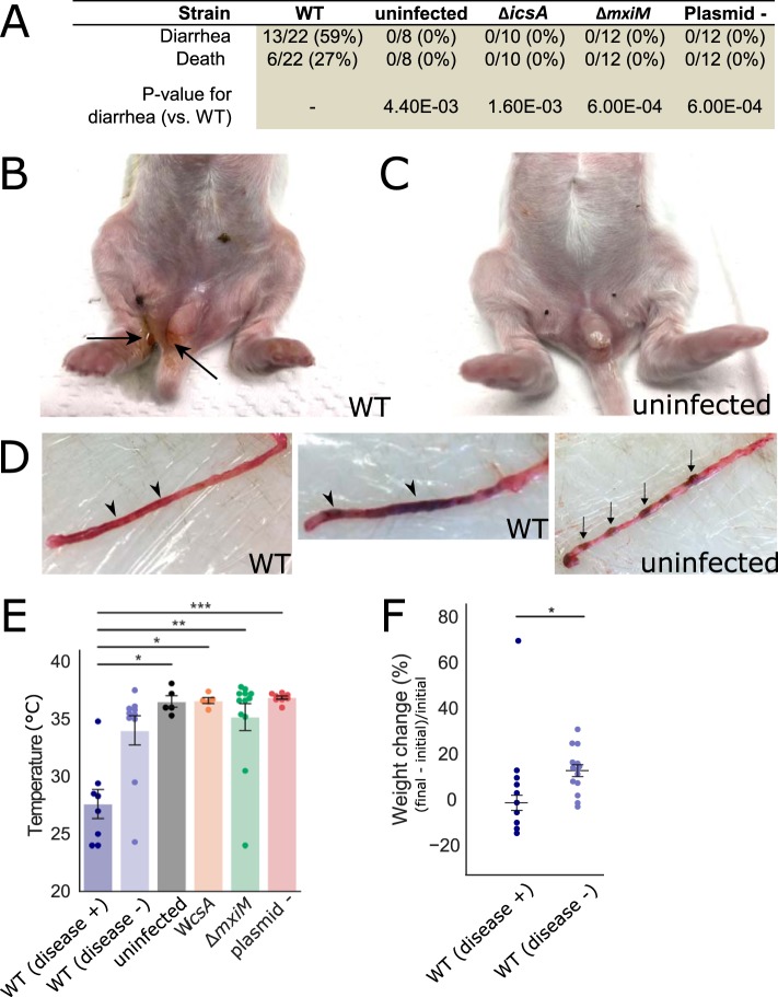 FIG 1