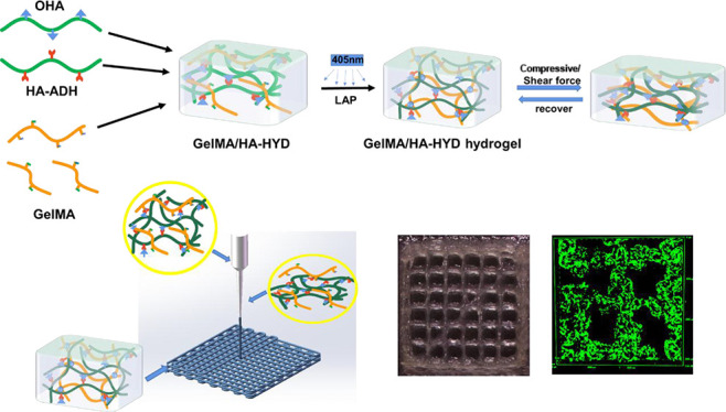 graphic file with name ao2c00335_0013.jpg