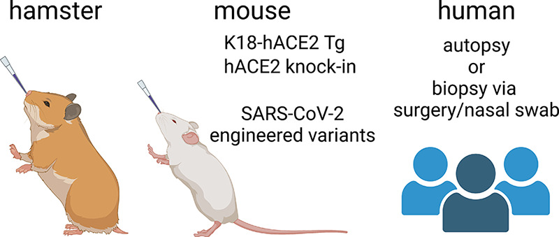 FIGURE 2.