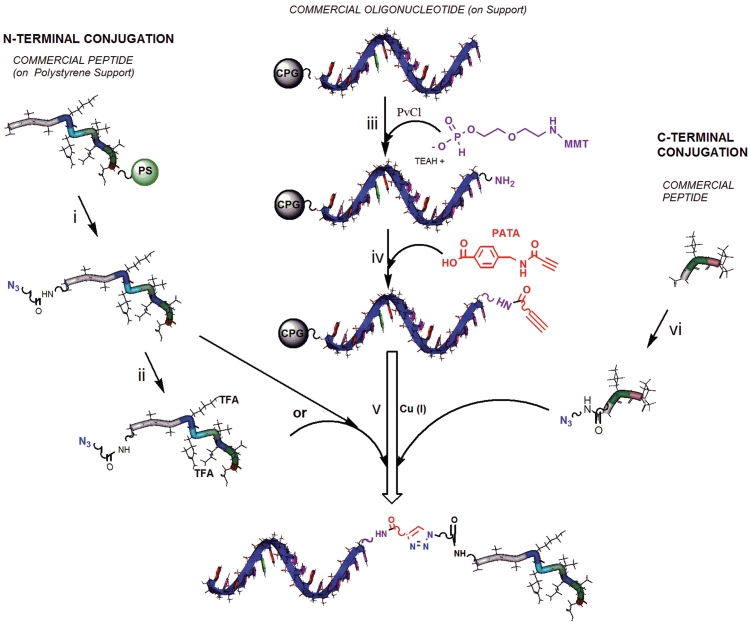 Scheme 3.