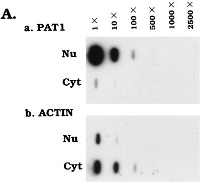 FIG. 6