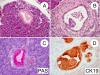 Fig. 2.